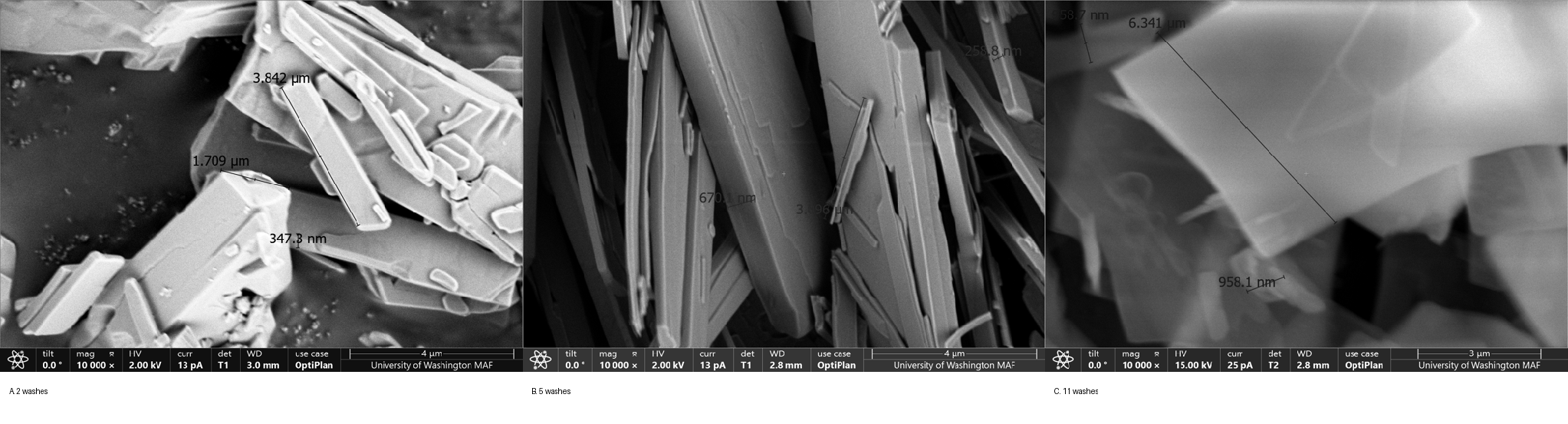 SEM micrograph